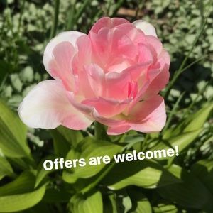 Like something? Make an offer!